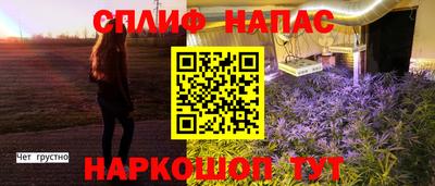 СК Заводоуковск