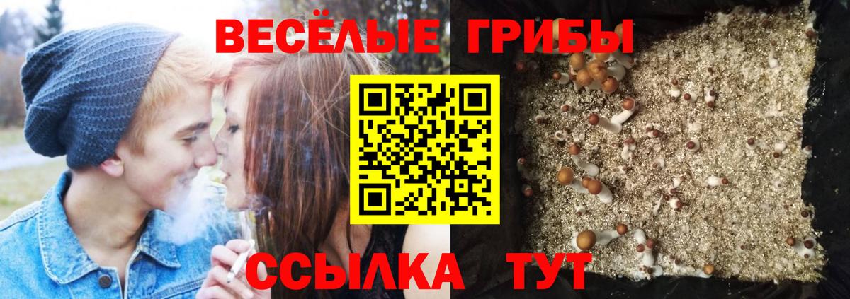 Псилоцибиновые грибы ЛСД Луховицы