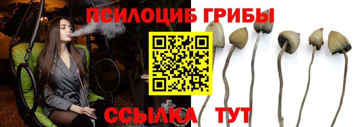 Луховицы  Галлюциногенные грибы прущие грибы  Галлюциногенные грибы MAGIC MUSHROOMS  Вход с VPN 